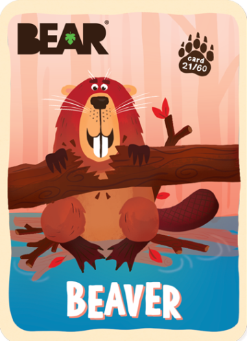 360xauto_bear-cards2021-mockup-beaver-foc.png