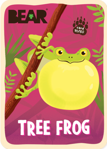 360xauto_bear-cards2021-mockup-tree-frog-foc.png